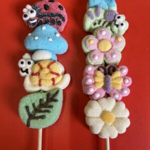 Zomer Spies
